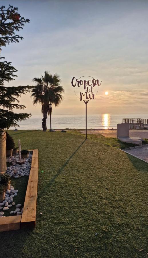אורופסה דל מר Las Terrazas - Primera Linea De Playa Con Netflix, Disney, Movistar Con Todo El Futbol, Series, Cine Y Prime Video מראה חיצוני תמונה